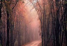 英格兰斩获重要胜利，欧预赛前景一片看好