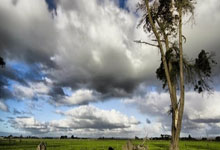 威尔士队实力强大，成功进军决赛