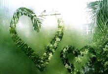 雷恩主场失利，战绩有所下滑