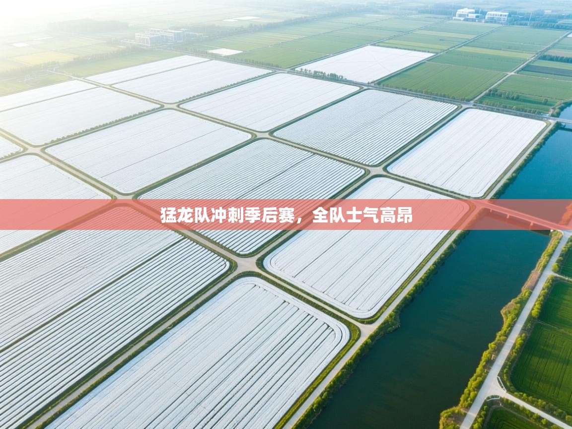 猛龙队冲刺季后赛,全队士气高昂 第1张