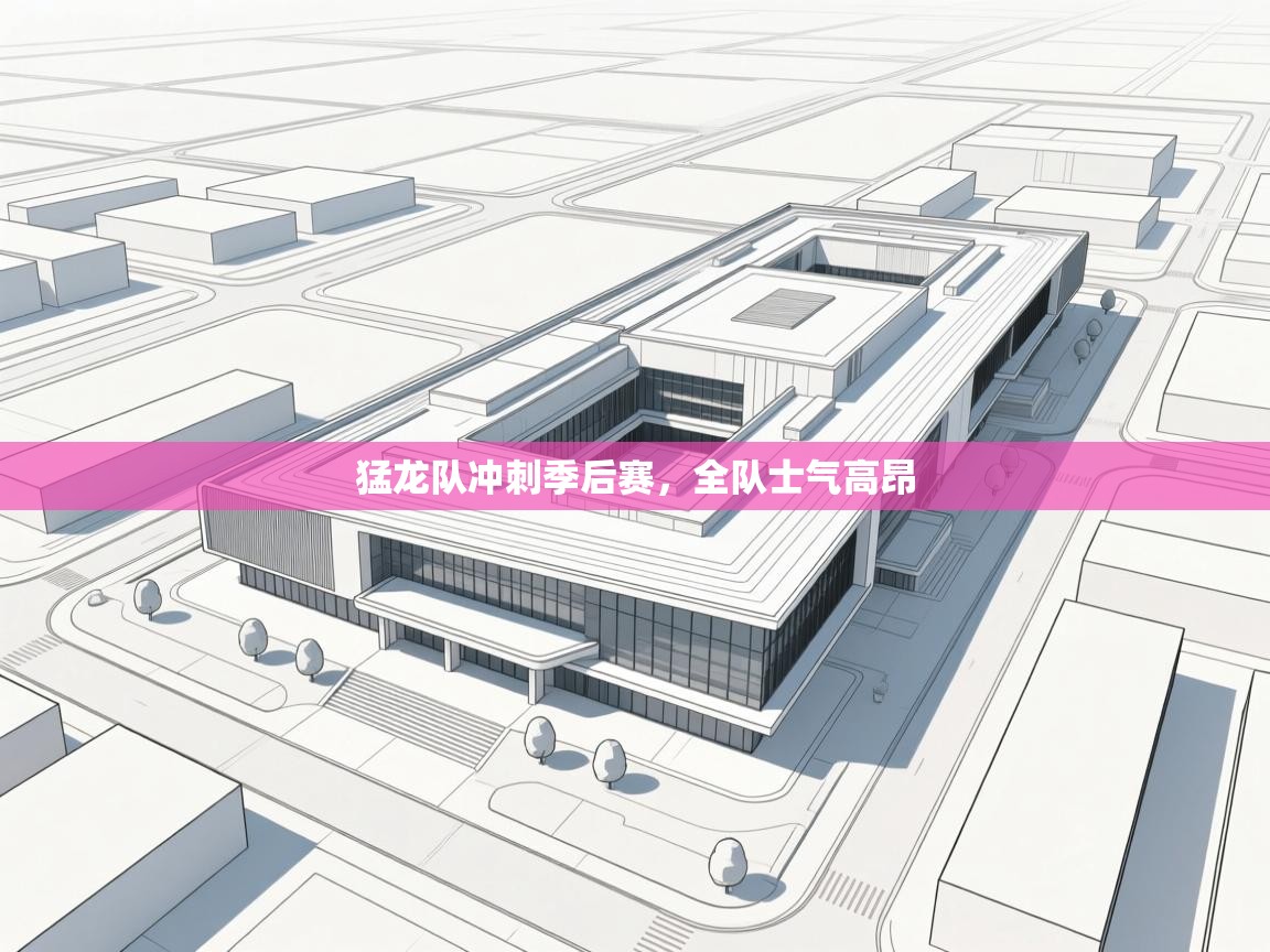 猛龙队冲刺季后赛,全队士气高昂 第2张