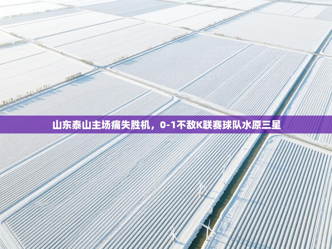 山东泰山主场痛失胜机，0-1不敌K联赛球队水原三星  第2张
