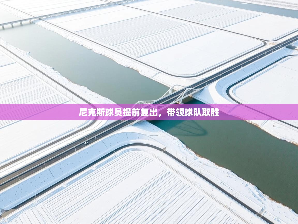 尼克斯球员提前复出，带领球队取胜  第2张